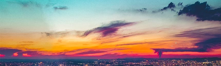 普洱茶虫网_普洱品茶